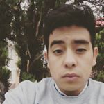 Profile Picture of paquito coreano (@francisco_calzada_monzon) on Instagram