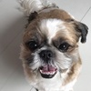 Profile Picture of Carol Lefebvre (@@carollefebvre1) on Tiktok