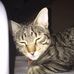 Profile Picture of Mattia Rallo (@mattia.rallo.52) on Facebook