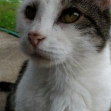 Profile Picture of Chris Hudnall (@ChrisHudnall1) on Twitter