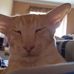 Profile Picture of Calhoun Smith (@calhoon.smith.9) on Facebook
