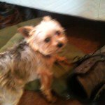 Profile Picture of Bryce Olinger (@bryce_o_7879) on Instagram