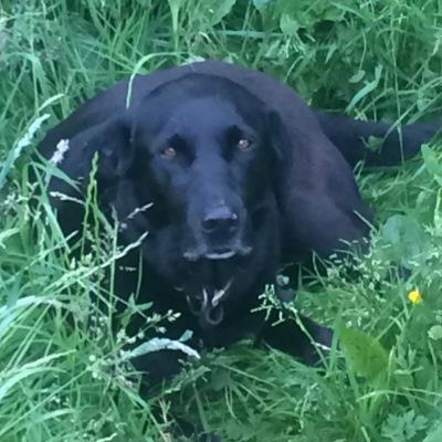 Profile Picture of Tamara (@Roberts1Tamara) on Twitter