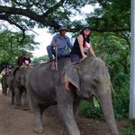 Profile Picture of Joanne Nelson (@jonelson238) on Instagram