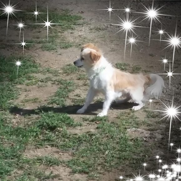 Profile Picture of Lucy Rivas (@zitro1952) on Poshmark