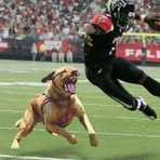 Profile Picture of Greg Bailiff (@greg.bailiff) on Facebook