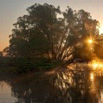 Merrillon - Instagram Profile Picture of Merrillon (@merrillonfoxle) on Instagram