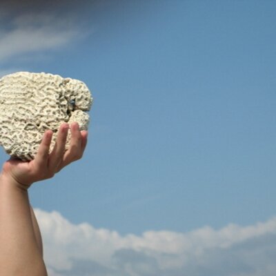 Profile Picture of Pedro A. Colon (@Viekes) on Twitter