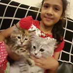 Profile Picture of Sophia Syed (@s.o.phia_) on Instagram
