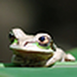 Profile Picture of Green_goblin (@green_goblin) on Flickr