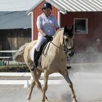 Profile Picture of Paula Horne (@ponydoc4u) on Instagram