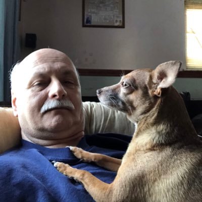 Profile Picture of Mark Schultz (@MSchultz48186) on Twitter