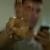 Profile Picture of Eduardo Núñez (@374964014) on Myspace