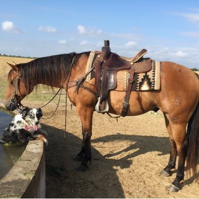 Profile Picture of Mandi Olson Stewart (@mandi_c_stewart) on Twitter
