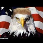 Profile Picture of Larry Grubbs (@larry.grubbs.940) on Instagram