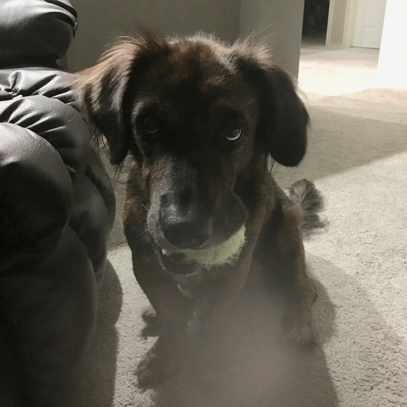 Profile Picture of Adam Rangel (@adamrs1616) on Poshmark