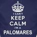 Profile Picture of Aaron Palomares (@aaronpalomares2) on Pinterest