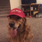 Profile Picture of Zachary Robbin Seil Knutson (@zachary_knutson2002) on Instagram