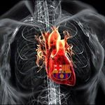 Profile Picture of David Klečka (@klecka_david) on Instagram