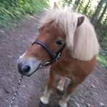 Profile Picture of viktoria.harter (@viktoria.harter) on Instagram