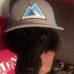 Profile Picture of Kevin Lashley (@lashley40_1) on Instagram