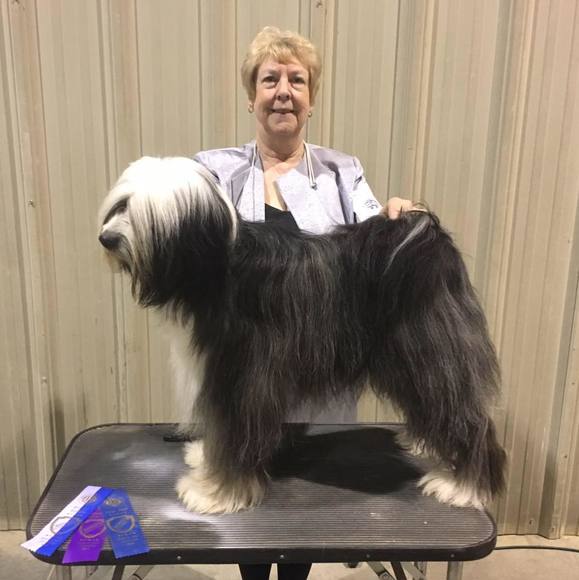 Profile Picture of Diana Serlo (@dianaserlo) on Poshmark