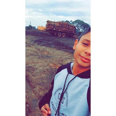 Profile Picture of Felipe Wionzek (@neguinbrisadofe) on Twitter
