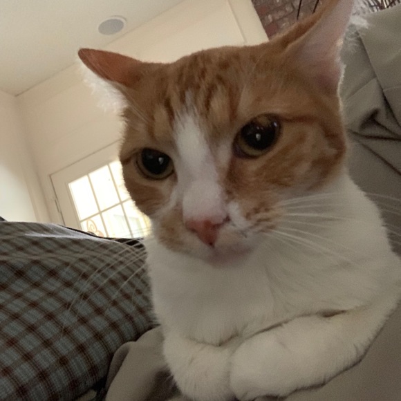 Profile Picture of Jessica Monagan (@jmonagan) on Poshmark