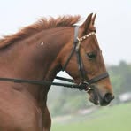 Profile Picture of Amanda Combe (@amanda.combe.3) on Facebook