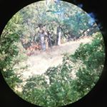 Profile Picture of Aaron Shober (@highcountryhntr) on Instagram