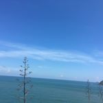 Profile Picture of Lily Liu (@lily.liu.73550794) on Instagram