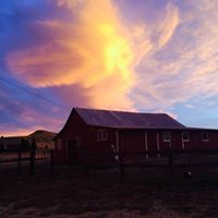 Profile Picture of Tina Lantis (@tinahlantis) on Pinterest