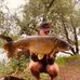 Profile Picture of Craig Mccartney (@craig.mccartney.10) on Facebook