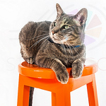 Profile Picture of Nelson Eduardo Guzman Cortes (@NelsonGuzmanCortesPhotos) on Flickr