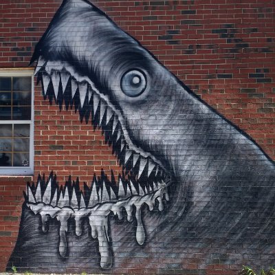Profile Picture of GeorgeGibb (@GeorgeGibb12) on Twitter