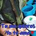 Profile Picture of Silvia A Jaramillo (@silviaa.jaramillo.562) on Facebook