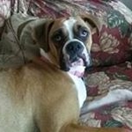 Profile Picture of Greg Sherry Carpenter (@gregsherrycarpenter) on Instagram