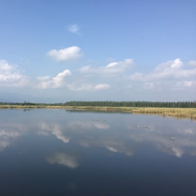 Profile Picture of Zhao Yu (@Huang_Di_Li_Guo) on Twitter