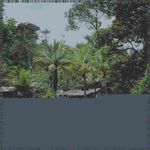 Adrina Hatchett - Instagram Profile Picture of Adrina Hatchett (@edouardhaslettfyd) on Instagram