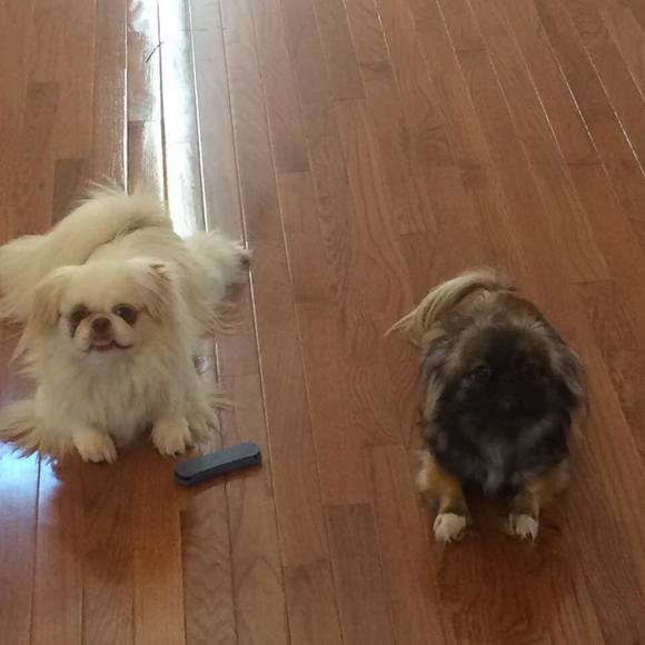 Oleg Yatsenko - Poshmark Profile Picture of Oleg Yatsenko (@oleg695) on Poshmark