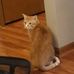 Profile Picture of Trena Wilson (@trena.wilson.14) on Facebook