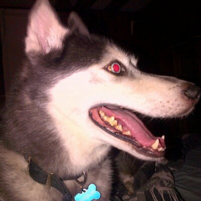 Profile Picture of Brandon MacRae (@MacRae131) on Twitter