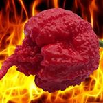 Profile Picture of Matthew Hintze (@reaper_chili) on Instagram