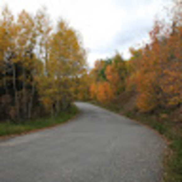 Profile Picture of Robin Valentine (@robinvalenti899) on Poshmark