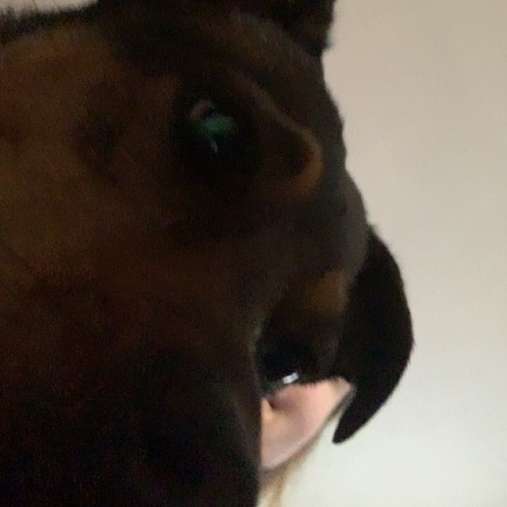 Profile Picture of alaina stewart (@alaina.stewart) on Tiktok