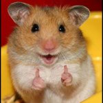 Profile Picture of Dwayne Lindsey (@oswaldd1) on Instagram