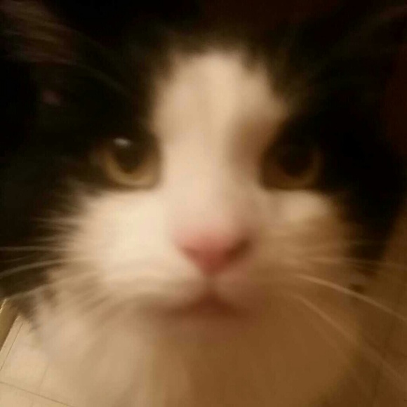 Profile Picture of Lindsay Eiermann (@lindsayrae13) on Poshmark