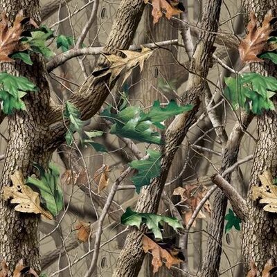 Profile Picture of DERRICK Michaels (@dmike0419) on Twitter
