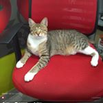 Profile Picture of Ken Reiman (@kenneth.reiman) on Instagram