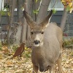 Shaun Weiler - Instagram Profile Picture of Shaun Weiler (@shaunshine3) on Instagram